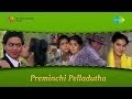 Preminchi Pelladutha Malli Ammammo Song