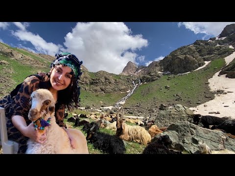 Razak Harki - Dil Xemgine 💐 KÜRTÇE YENİ ŞARKI UZUN HAVA 2024  [ BALA YAYLASI HAKKARİ ]