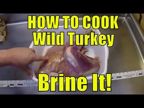 Brining! (How to prepare a Turkey -Even WILD TURKEY!)
