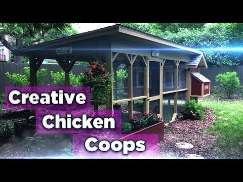 download lagu mp3 mp4 Chicken Coops Massachusetts, download lagu Chicken Coops Massachusetts gratis, unduh video klip Chicken Coops Massachusetts