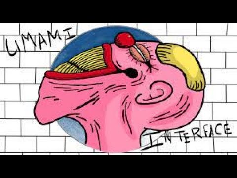 Umami Interface WHOLE SERIES - Review and Analysis (Live)