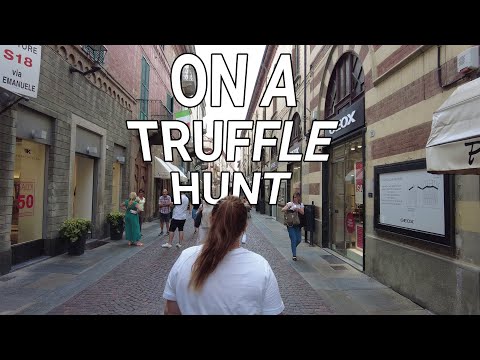 Home to truffles and great wine: Alba