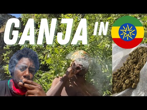 How To Roll Weed East Africa w/ a Jamaican, Indica from Addis Ababa, Ethiopia, Shashamane
