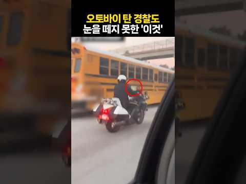 오토바이 탄 경찰도 눈을 떼지 못한 '이것'