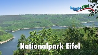 preview picture of video 'Nationalpark Eifel | Rhein-Eifel.TV'