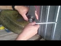 Shindaiwa B450 Blade Change Wymiana Tarczy Noża