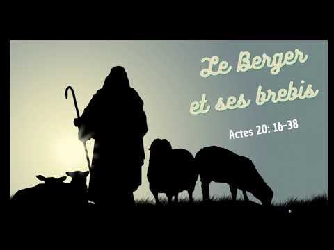 Le Berger et ses brebis - Actes 20:16-38