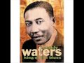 Muddy Waters - Rock Me (with lyrics)