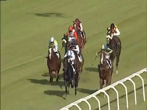 2017.04.23 Premio Certosa (ITA) - Plusquemavie