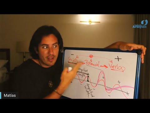 Day 324 Edición en Español - MITOSIS - charla diaria - Matias De Stefano