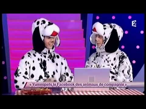Steeven et Christopher [6] Yummipets le Facebook des animaux de compagnie - ONDAR