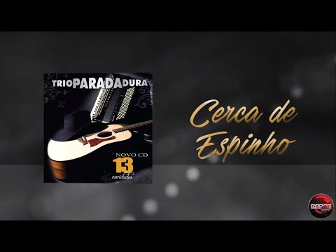 Cerca de Espinhos - Trio Parada Dura