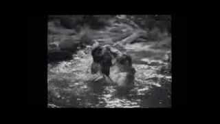 Back From Eternity Anita Ekberg vs Phyllis Kirk