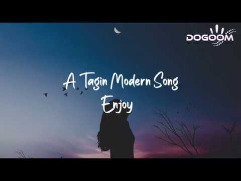 [Lyrics] Nyijir nam ngo naso mengla by | Raju Ebiya | Tagin Modern Song | Dogoom | Lyrics videos