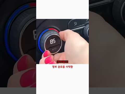 공대생의 차에 거대한 주차딱지를 붙였더니 생긴 일