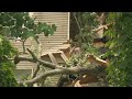 Fallen Tree Crushes Home Of Cancer Patient WSB TV