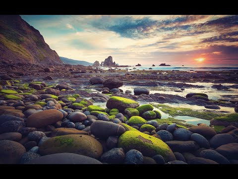 Johannes@''Follow Me'' (Tom Lown Remix)@2017