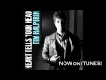 Tim Halperin - Hey 17 Feat Trip Lee - Heart Tells Your Head Album