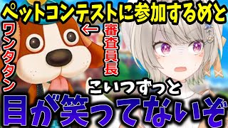 ペットコンテストに参加するも審査員長の姿に困惑する小森めと【ぶいすぽ/切り抜き】
