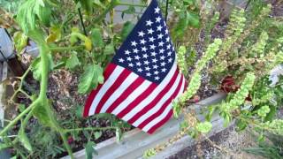 Vegas Trip Video 2 -  Home On The Range