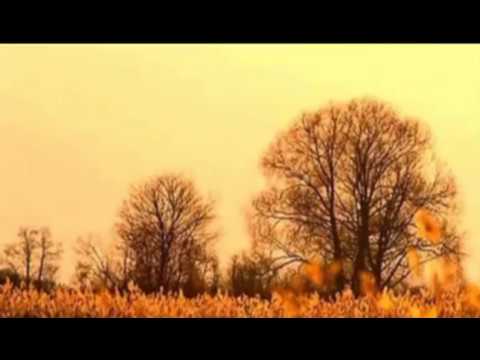 Oração pela Pátria e pela Família com o Pr e cantor Waldo Geny