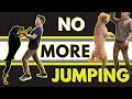 Super Simple Way To Stop A Dog From Jumping