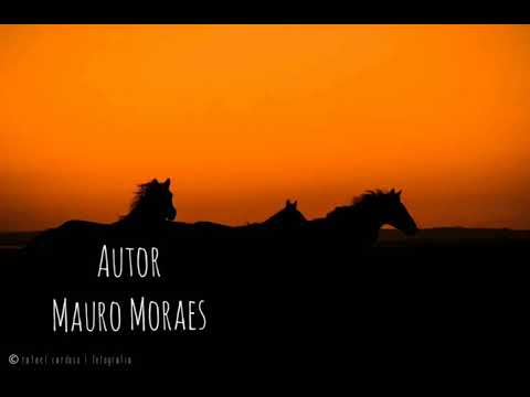 Amoroso video