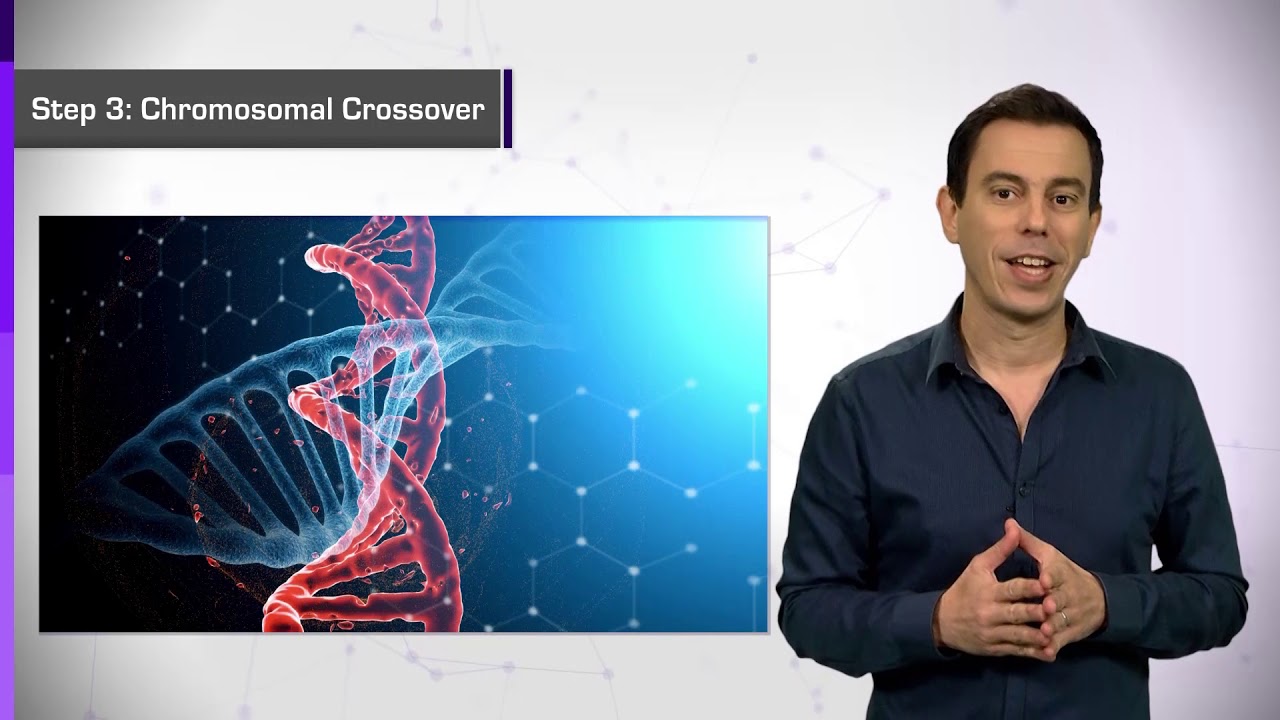 6.3.B. Artificial Intelligence in Medicine - Genetic Algorithms