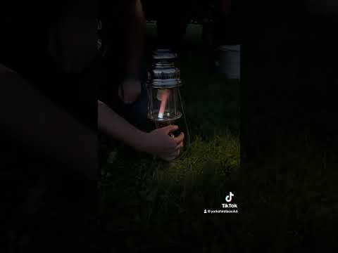 Petromax lantern 859 /500cp super #yorkshirelassuk #petromax #germany #paraffin #vintage #light