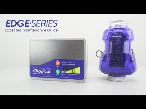 Expected Maintenance Guide | CircuPool EDGE Series Salt Chlorine Generator | 4 Basics of Care