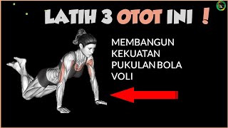 Download lagu Training Muscle Strength With Push Ups Variations For Hard Volleyball Hits mp3