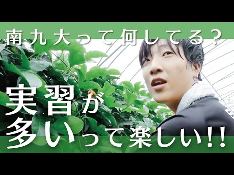 【授業のぞき見！】将来は農園を！実習で様々な経験ができる南九大【園芸生産環境実験実習】