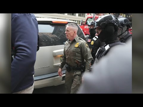 Judge orders CBP Chief Greg Bovino to meet with her every day on Chicago operations