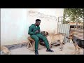 Maza and the dogs Comedy latest video