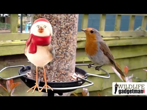 Wildlife Gadget Man - Jingle Cams 2015