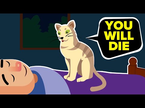 YouTube video about: Why do cats smell your eyes?