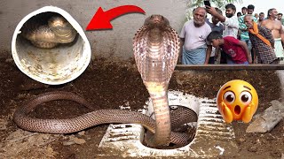 इस वीडियो को देखकर आप भी हो जाए सावधान, कोबरा सांप को कैसे पाइप से बाहर निकाला गया!😱🐍Dangerous Snake