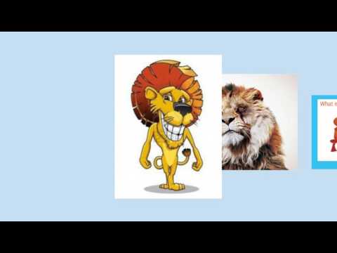 AMFA & NABT Training Course