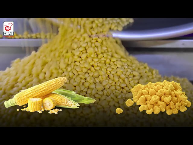 zirve extrusion | Devenez un partenaire à succès avec ZİRVE...Ligne de production de chips de maïs ; Modèle LC203-E