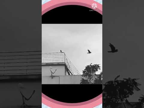 oodAsHell #LyricsLio God As Hell (Lyrics)Rinton#AR Remal