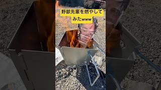 古くなった野獣先輩を火葬してみた