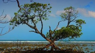 Saddle Peak in North Andaman Island 