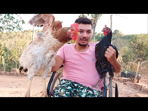 Know the Difference Between FREE-RANGE CHICKEN and FREE-RANGE CHICKEN