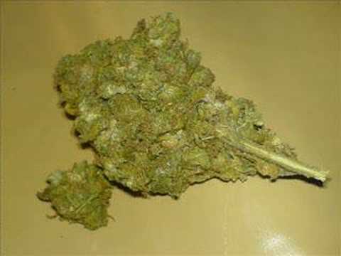 Self Scientific " Give Me a Lift "