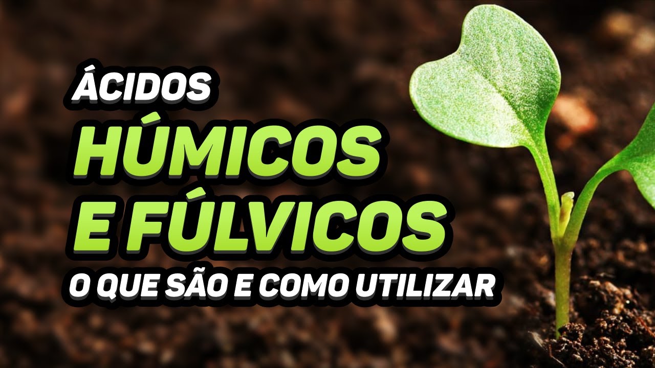 ÁCIDOS HÚMICOS E FÚLVICOS - O QUE SÃO E COMO UTILIZAR