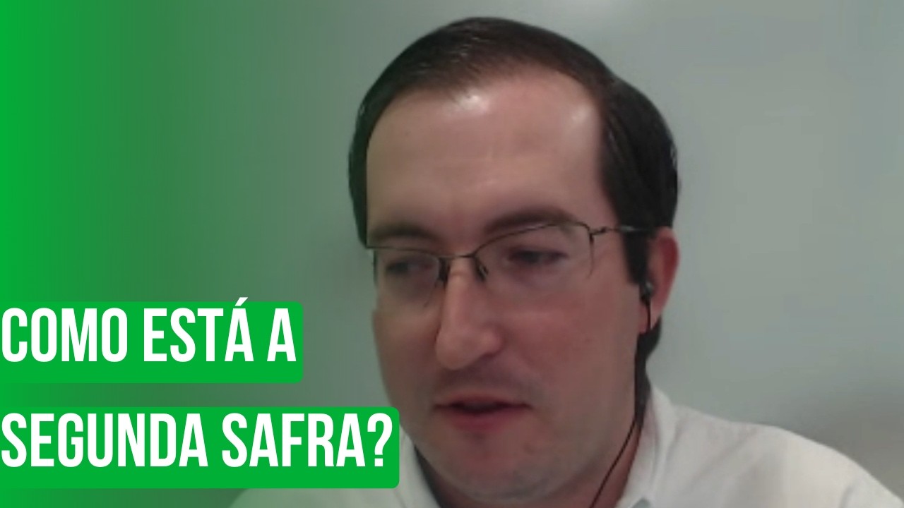 Como está a segunda safra?