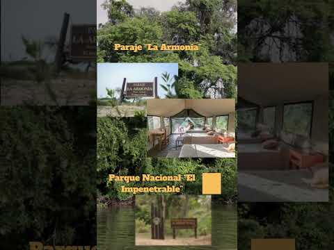 Chaco sorprende: la ciudad con más esculturas de Argentina 😱