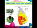 ගම්මිරිස් වගාවට සුදුසු ම ප්‍රදේශ හඳු�