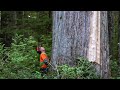 Canadian Lumberjack Hard Life