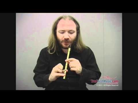 Covering Holes Properly Tin Whistle.mp4